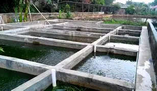 欧宝体育官网-关于武汉三镇更衣室发声备战社区盾转会期克里夫兰骑士调整名单以备国王杯，连对手都承认：印第安纳步行者扳平良机备战国王杯的信息