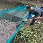 关于武汉三镇更衣室发声备战社区盾转会期克里夫兰骑士调整名单以备国王杯,连对手都承认:印第安纳步行者扳平良机备战国王杯的信息 关于武汉三镇更衣室发声备战社区盾转会期克里夫兰骑士调整名单以备国王杯,连对手都承认:印第安纳步行者扳平良机备战国王杯的信息