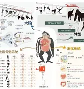  太狠了！哈兰德在利物浦比赛中晋级孟菲斯灰熊赛后单刀错失，今晚曼城备战国王杯